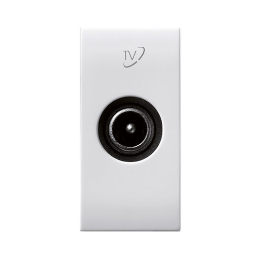 441096M-DB10.jpg