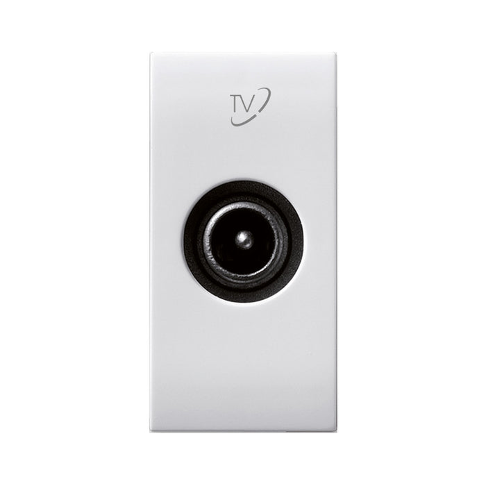 441096M-DB10.jpg