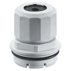 DX47506.jpg