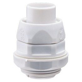 DX54240.jpg